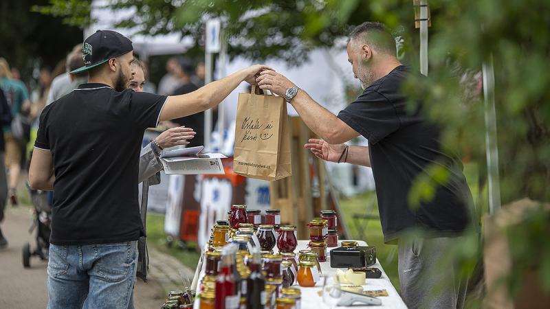 13. Apetit piknik