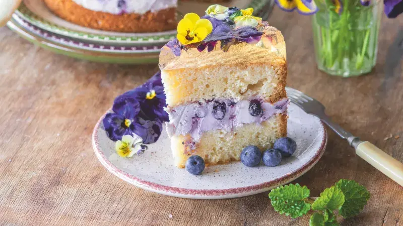 Piškotový dort s borůvkovým krémem a šampaňským želé