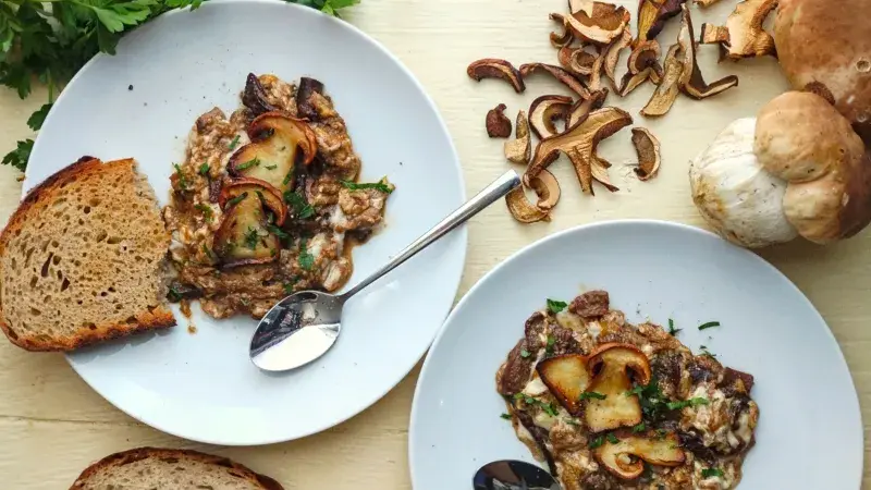 Smaženice ze sušených hub