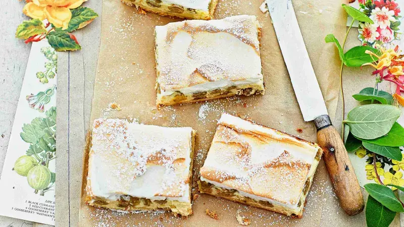 Sněhové řezy s angreštem