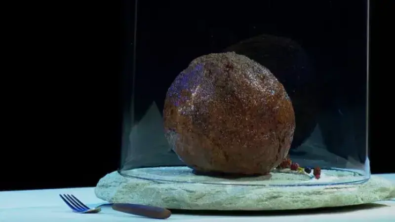 Masová koule z mamuta