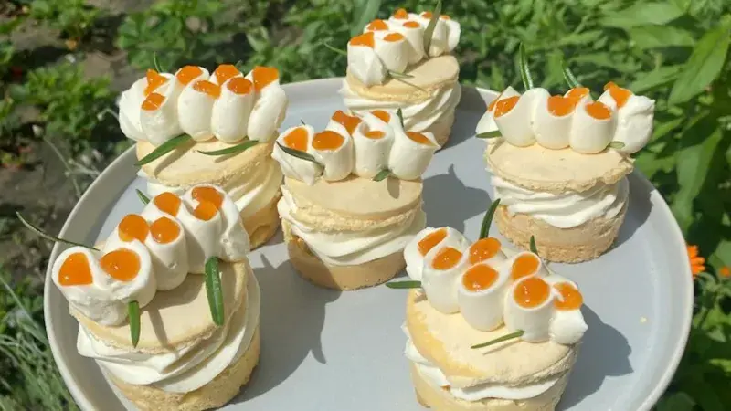 Vítězné rakvičky podle Františka Stejskala