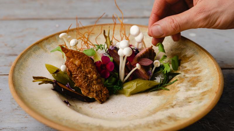 Vysoká gastronomie