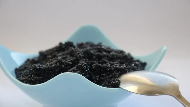 Proč je kaviár tak drahý?