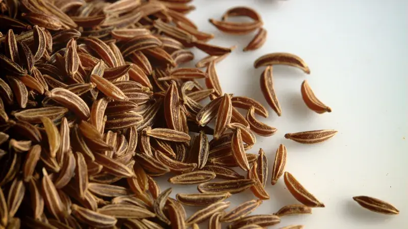 kmín-makro-zblízka-pozadí-jídlo-290973/