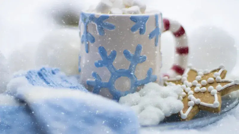 vánoční cukroví a šálek s čokoládou a šlehačkou