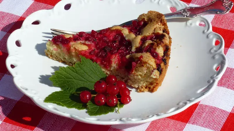 Ovocný koláč s ribízem