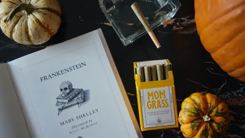 první kniha o vegetariánství