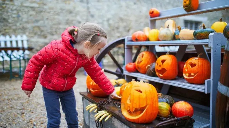 Dýňová farma halloween Dýňová farma halloween