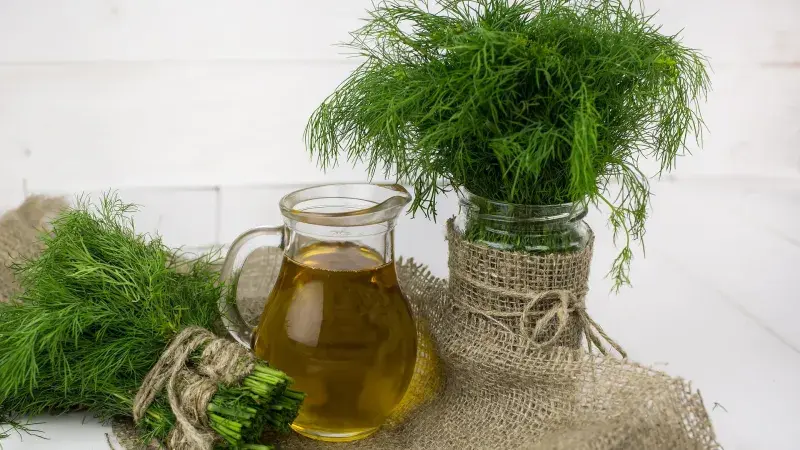 olivový olej a bylinky