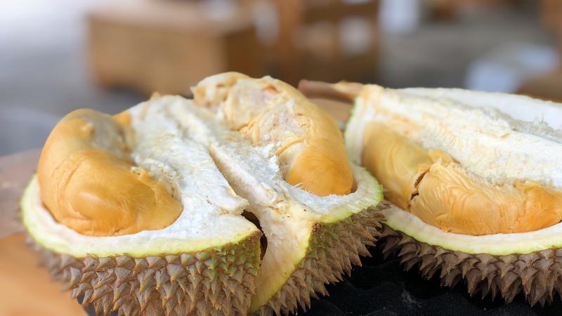 Král všeho ovoce, smradlavý durian