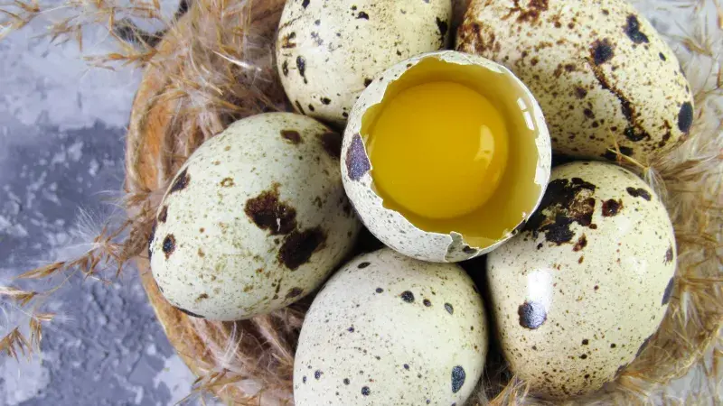 Křepelčí vejce