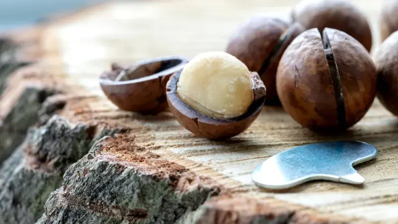 Makadamové ořechy Makadamové ořechy