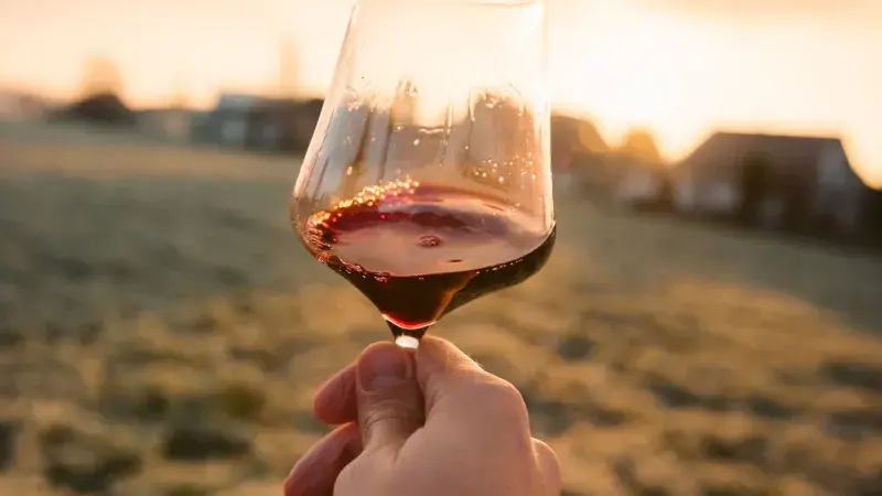 červené víno ve sklenici