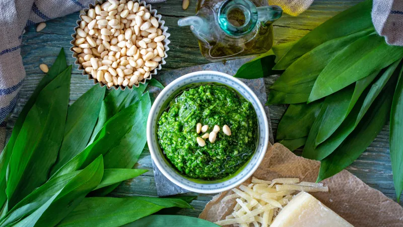 Pesto z medvědího česneku