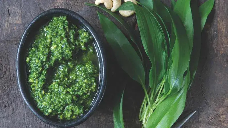 Pesto z medvědího česneku