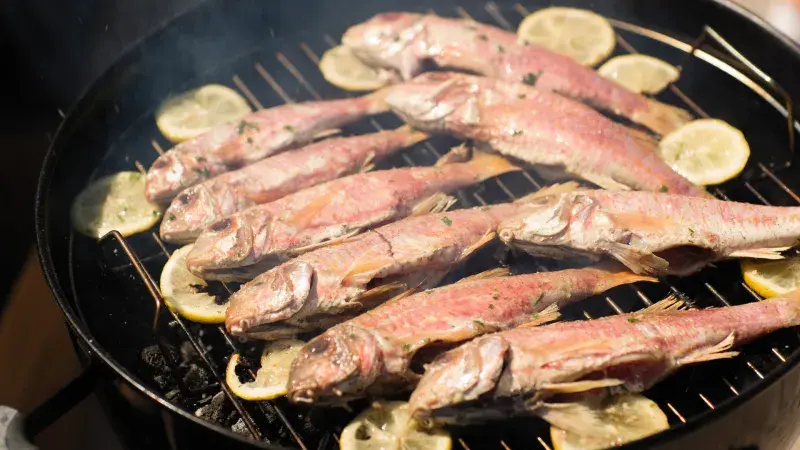 grilování ryb