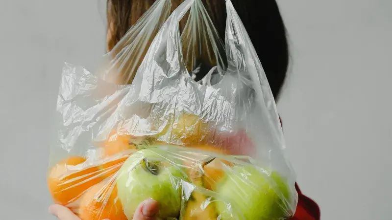 ovoce v igelitové tašce