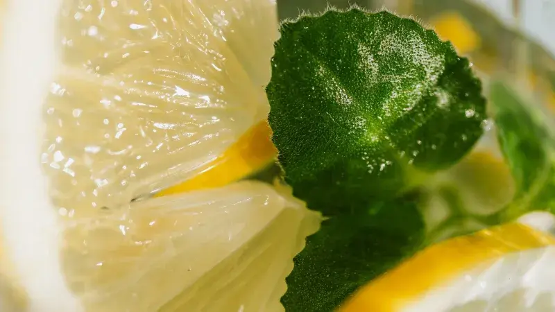 limonáda s citronem a mátou limonáda s citronem a mátou