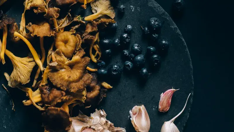 sušené houby a česnek