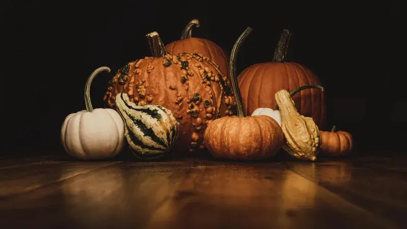 pumpkins-pexels-timmossholder-3017171.jpg