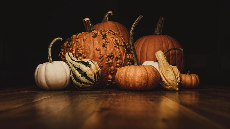 pumpkins-pexels-timmossholder-3017171.jpg
