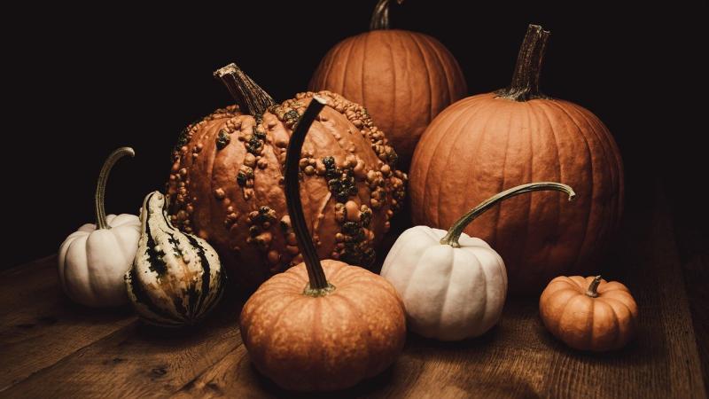pixabay-pumpkins-8032727_1280.jpg