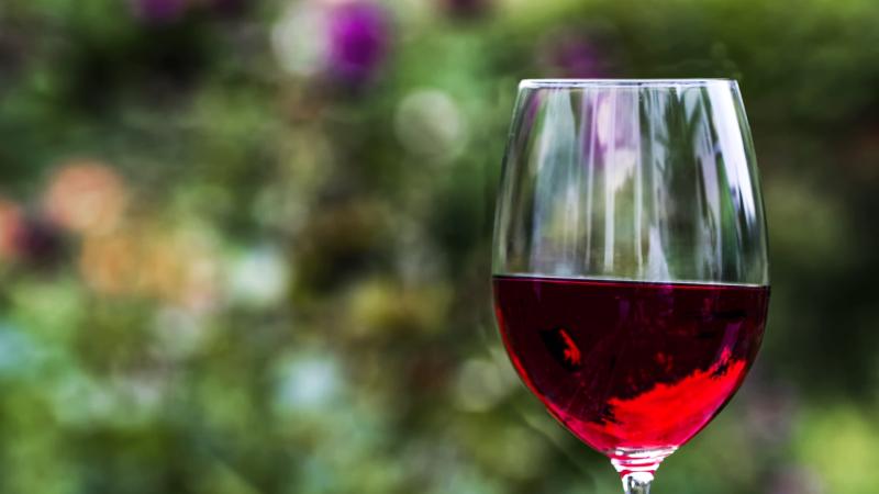 cervene vino