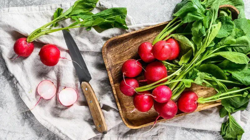 Ředkvičky udělají z obyčejného sendviče křupavý zážitek