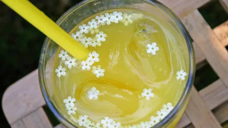 Bezinková jemně perlivá limonáda