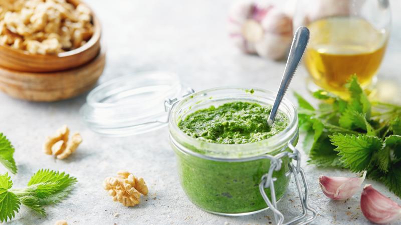 Kopřivové pesto