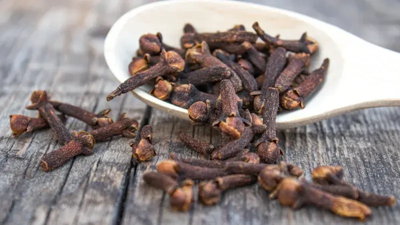 Hřebíček shutterstock_1554457997.jpeg