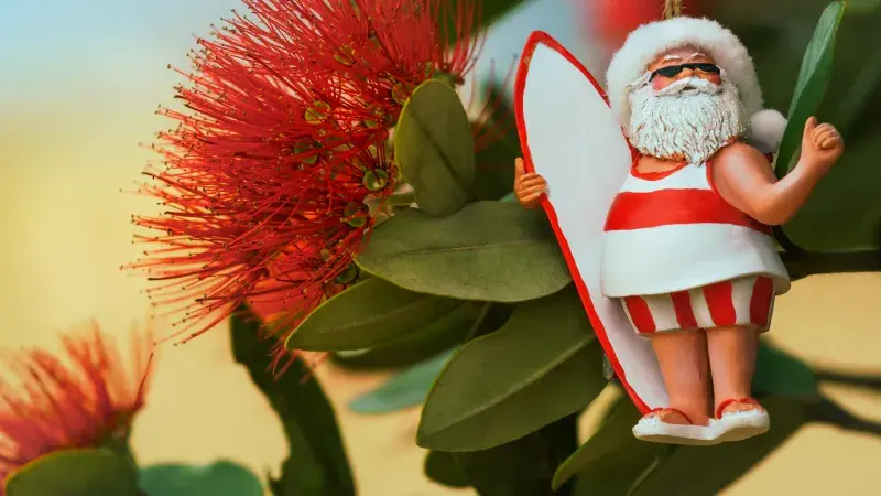 Vánoce Nový Zéland