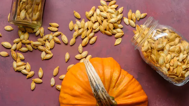 Dýňová semínka