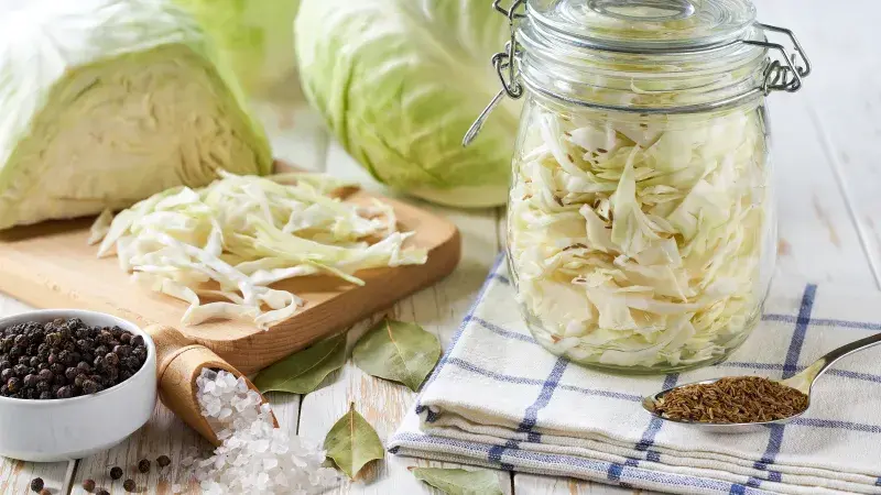 Zelí shutterstock_2498854735.jpeg