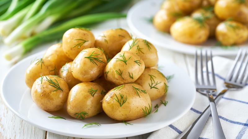 shutterstock_2569572885.jpg