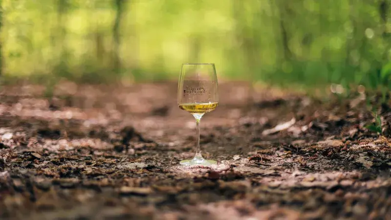Sklenka vína z Vinné stezky