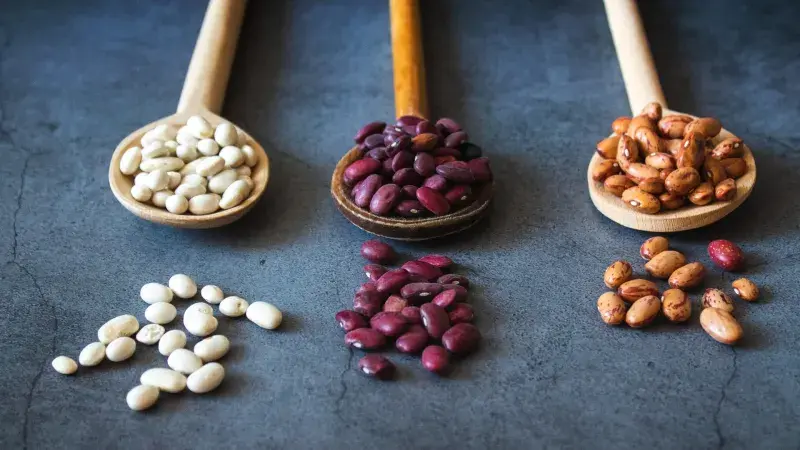 bílé, červená a oranžové fazole