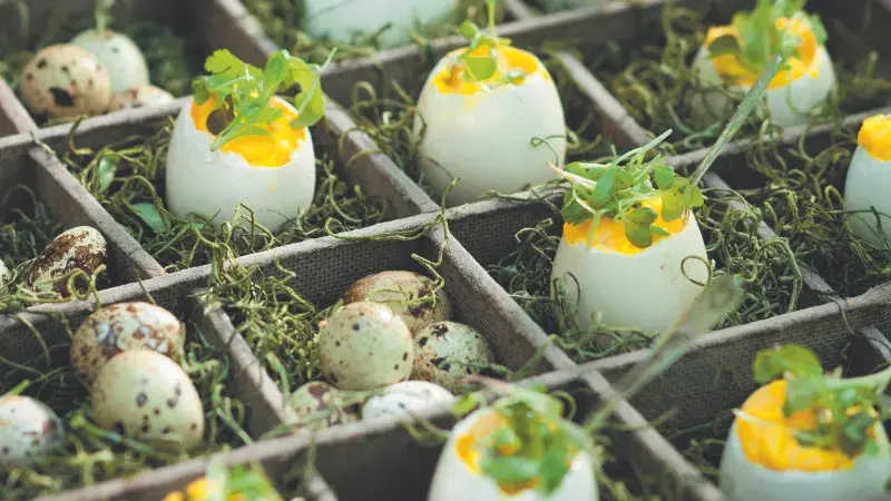 Plněná vejce s lanýžovým olejem