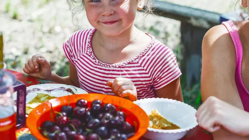Holčička a třešně