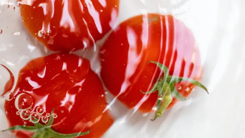 rajčata ve vodě