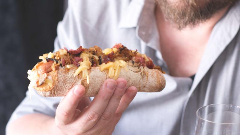 Reuben dog