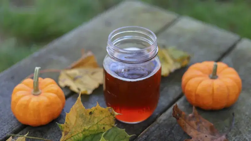 Podzimní likéry 4× jinak: Připravte si doma voňavý životabudič