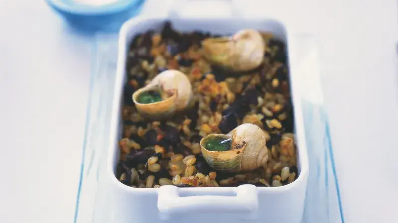 Šneci na houbovém kubovi