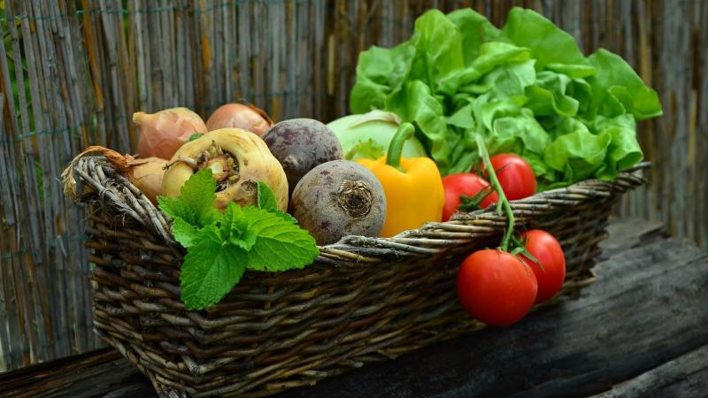 Česká zelenina míří do super a hypermarketů