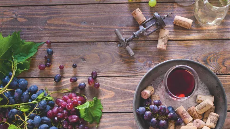 Tipy na víkend 2.–3. 11.