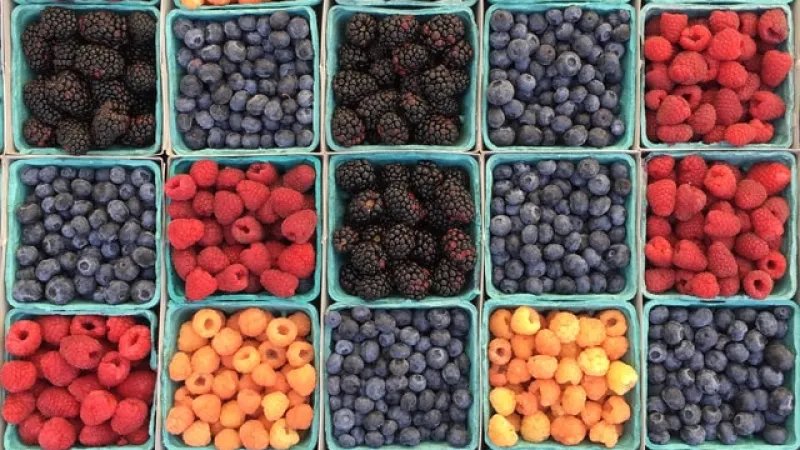 Jaké vitaminy obsahuje letní ovoce?