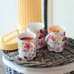 rajská polévka do hrnečku