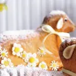 Kynutý beránek Kynutý beránek