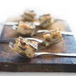 Krkonošský houbovec